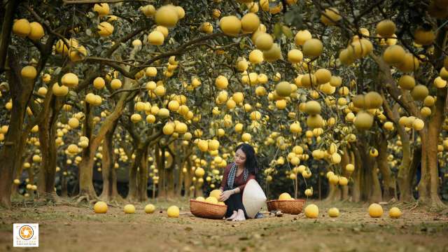 Truyện Đụ vợ chủ quán (Audio)