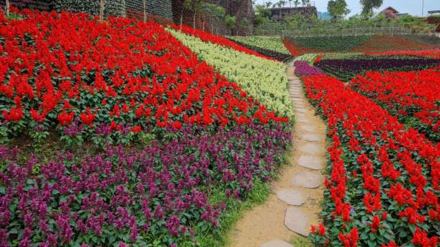 Truyện Đừng làm đĩ nữa (Audio)